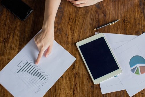 tikrinami įmonės rezultatai